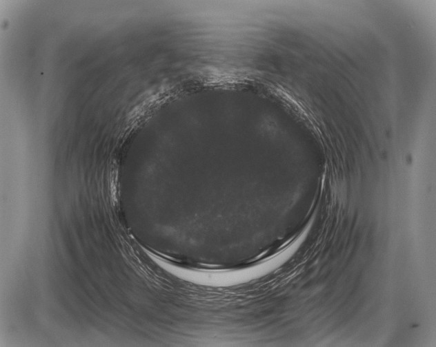 X0000086091348200703231420