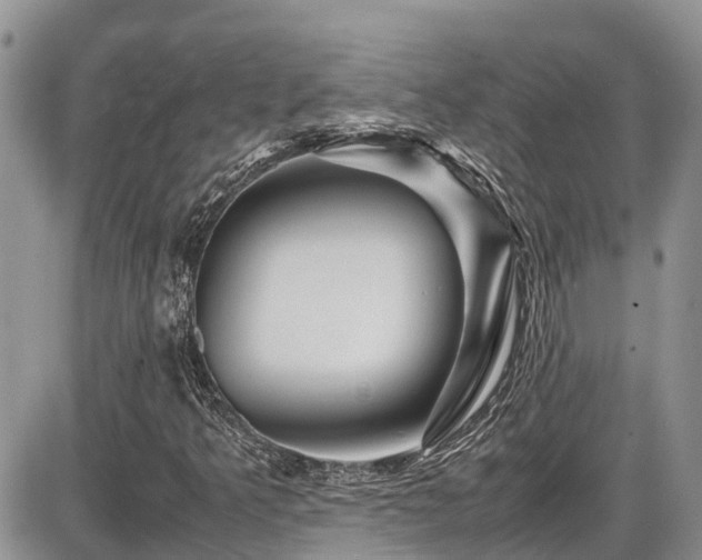 X0000086091349200703231420