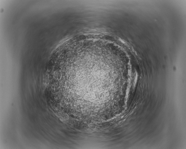 X0000086091350200703231420