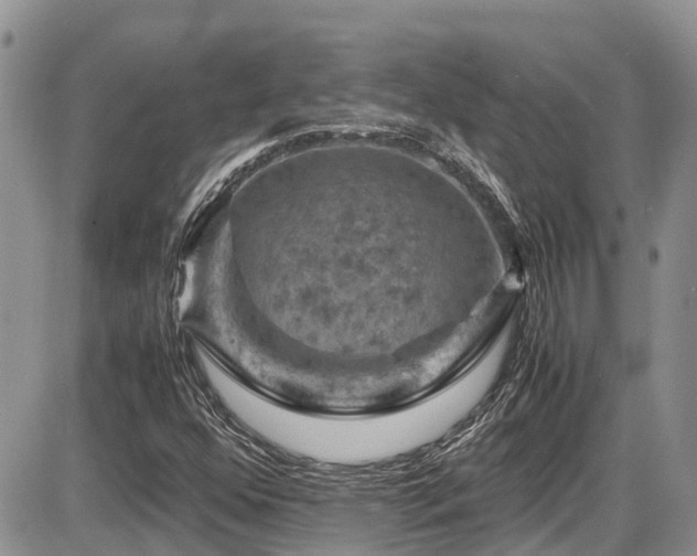 X0000086091352200703231420