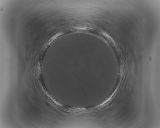 X0000086091353200703231419