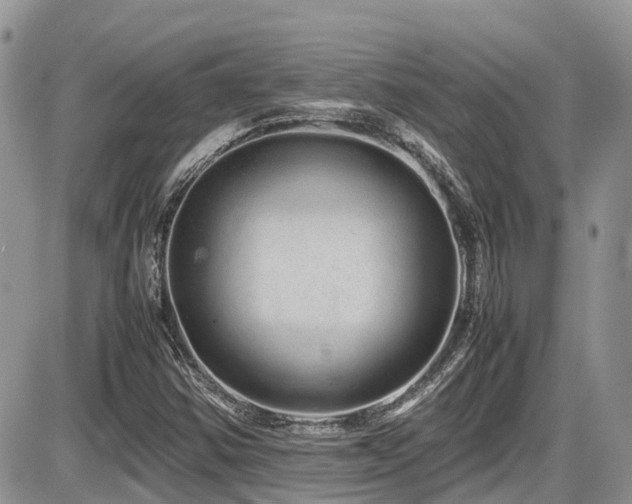 X0000086091354200703231419