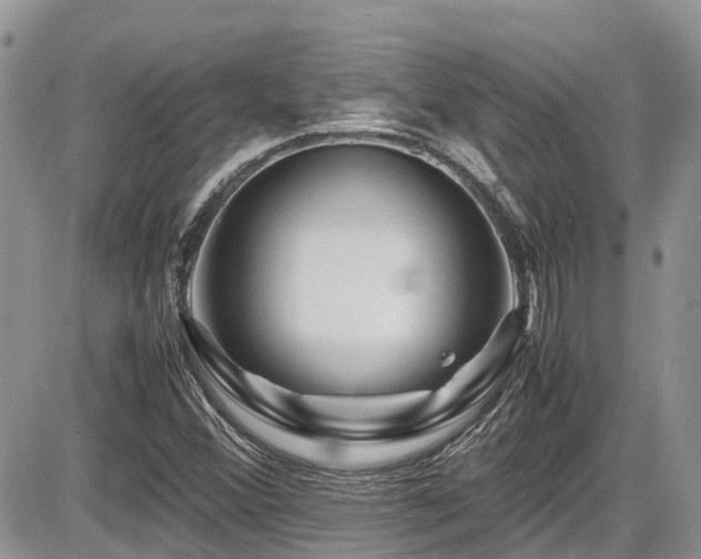 X0000086091356200703231419
