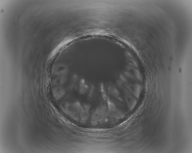 X0000086091359200703231419