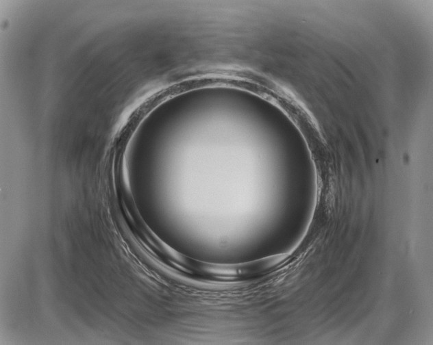 X0000086091360200703231419