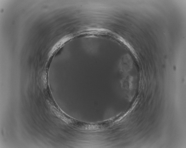 X0000086091362200703231419