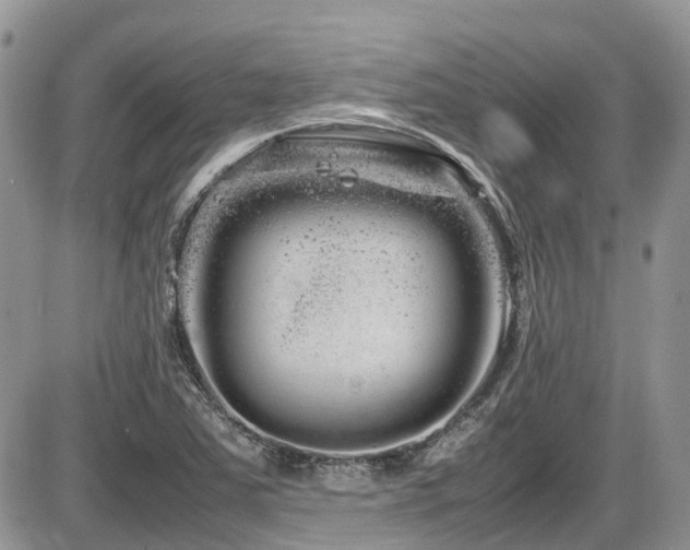 X0000086091363200703231419