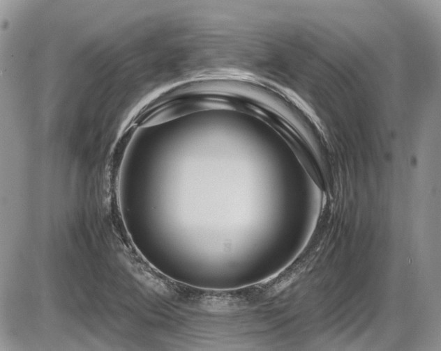 X0000086091364200703231419