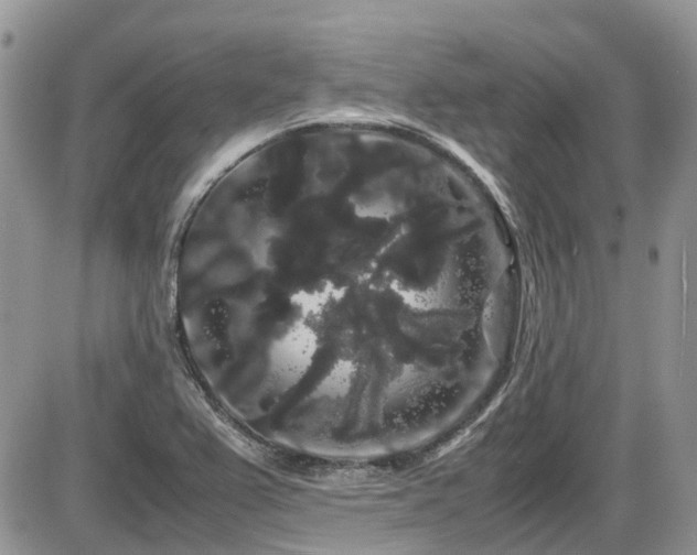 X0000086091367200703231419