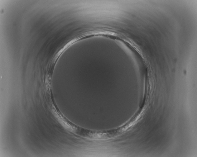 X0000086091369200703231419