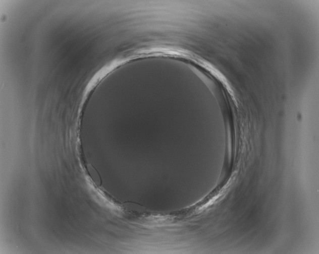 X0000086091373200703231419