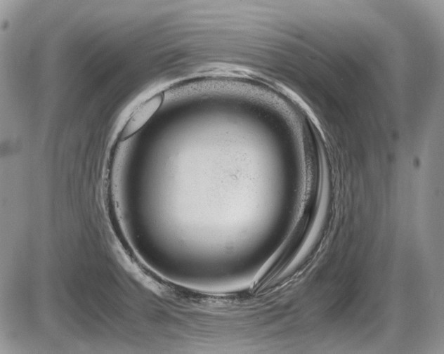 X0000086091379200703231419
