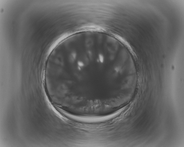 X0000086091383200703231419