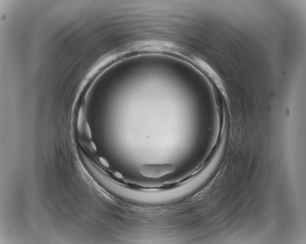 X0000086091384200703231419