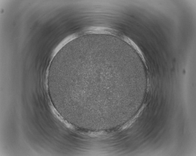 X0000086091386200703231419