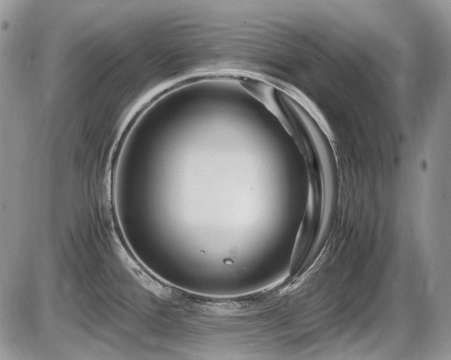X0000086091388200703231419