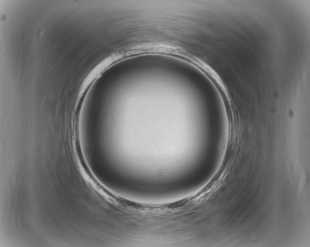 X0000086091389200703231419