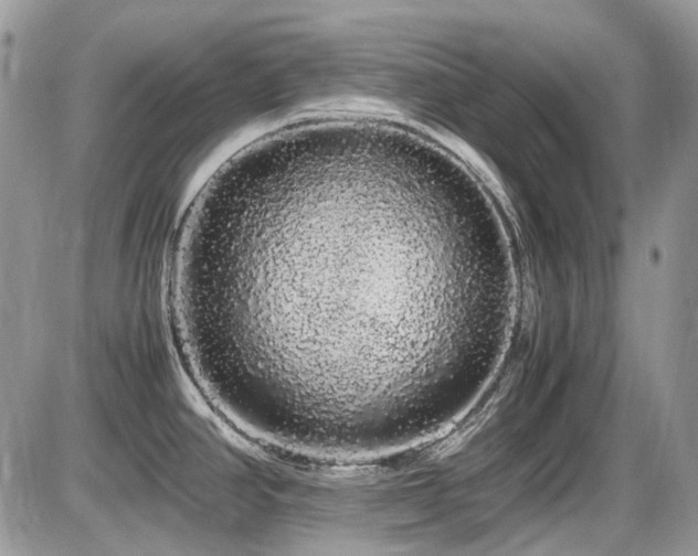 X0000086091390200703231419
