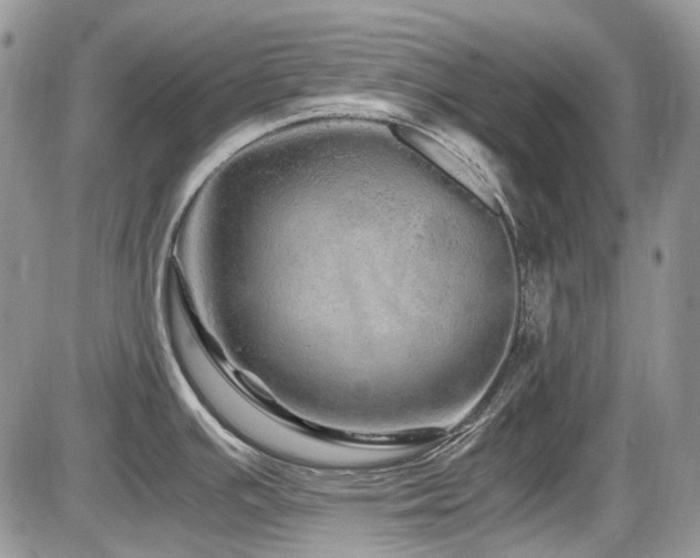 X0000086091391200703231419