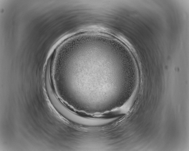 X0000086091392200703231419