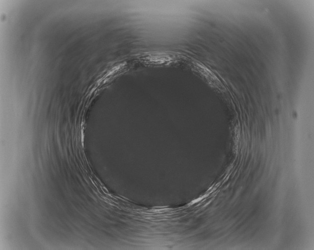 X0000086091394200703231418