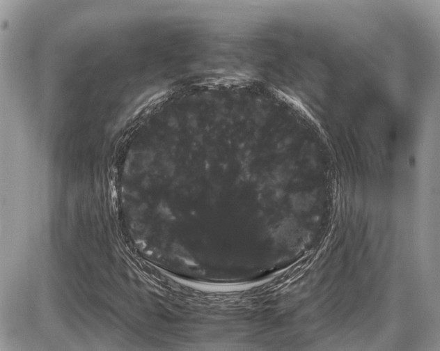 X0000086091399200703231418