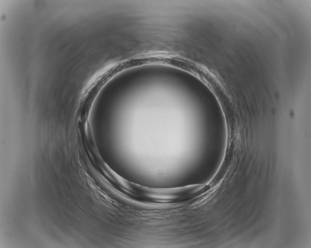X0000086091406200703231418