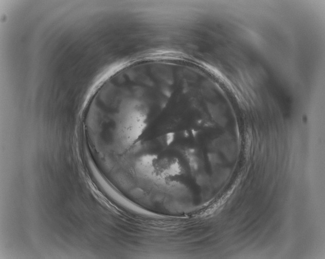 X0000086091413200703231418