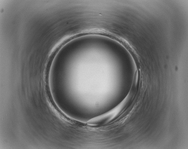 X0000086091422200703231419
