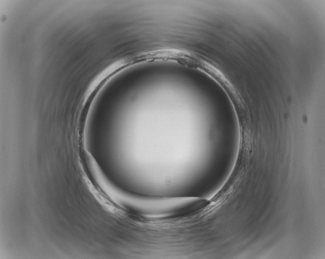 X0000086091426200703231419