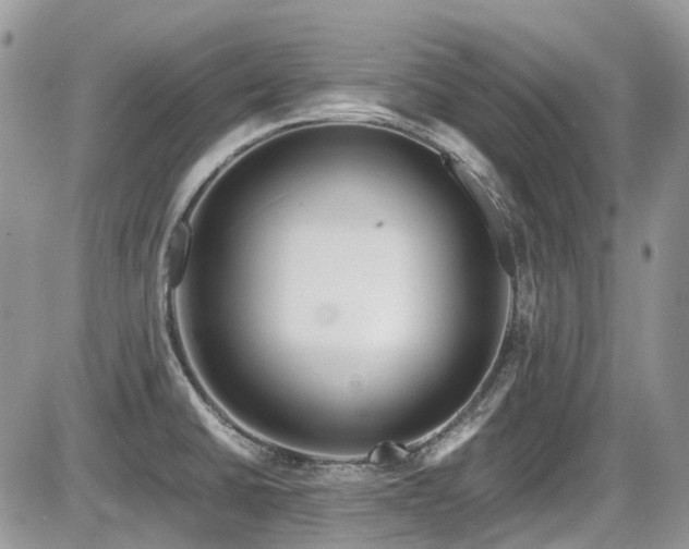 X0000086091430200703231419