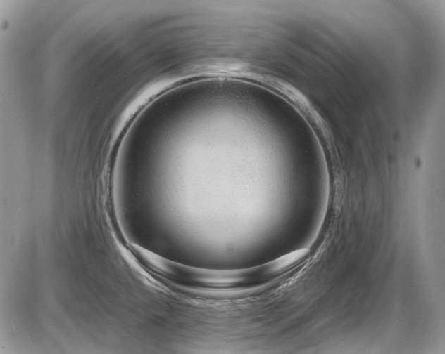 X0000086091432200703231419