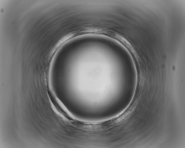 X0000086091433200703231419