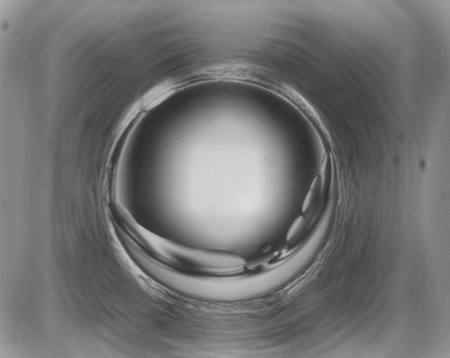 X0000086091434200703231419