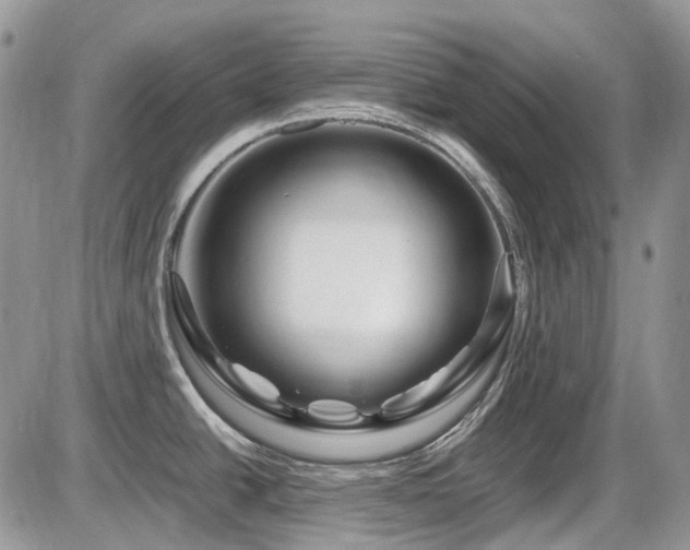 X0000086091438200703231419