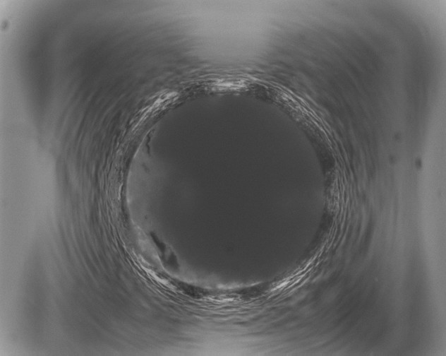 X0000086091441200703231418