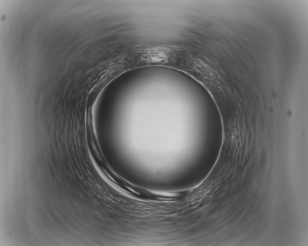 X0000086091442200703231418