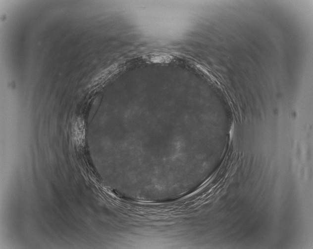 X0000086091443200703231418