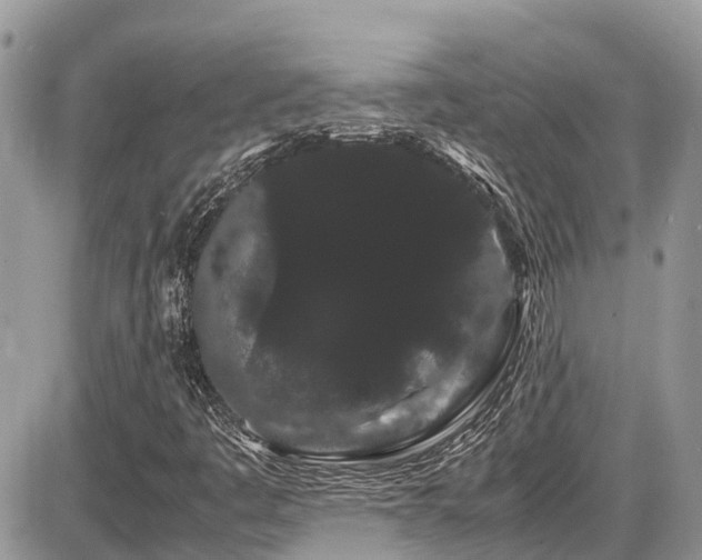 X0000086091445200703231418
