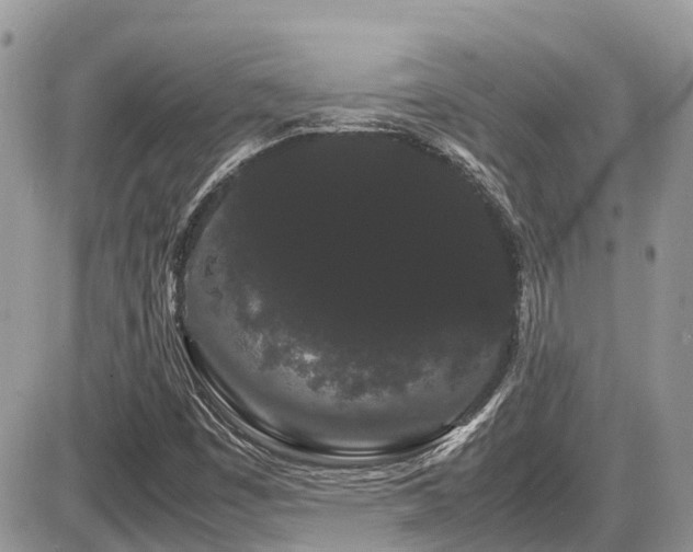 X0000086091449200703231418