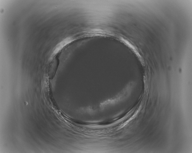 X0000086091453200703231418