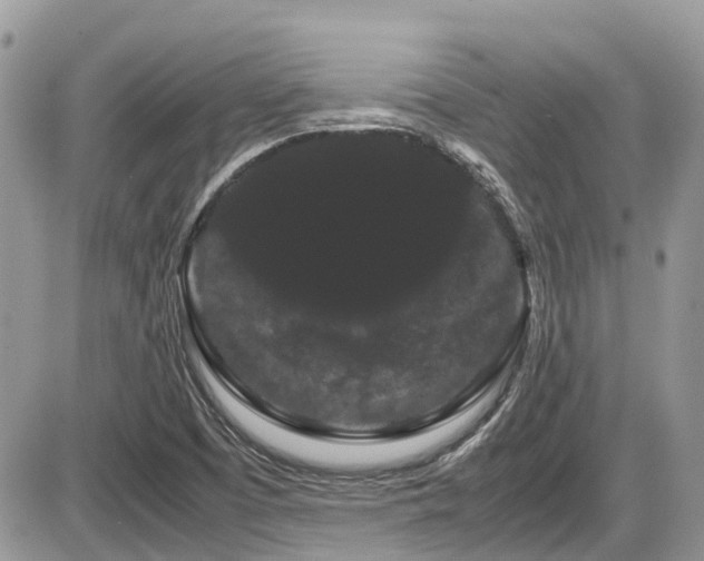 X0000086091457200703231418