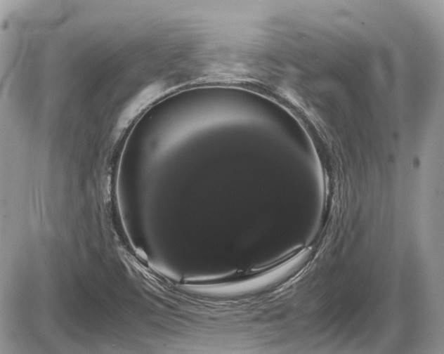 X0000086091459200703231418