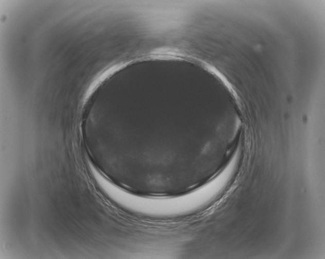 X0000086091461200703231418