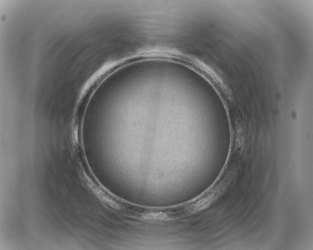 X0000086091462200703231418