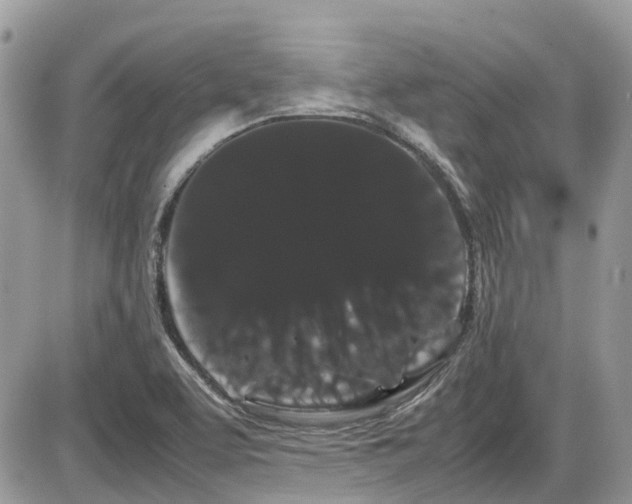 X0000086091463200703231418
