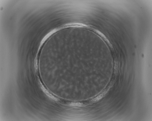 X0000086091466200703231418