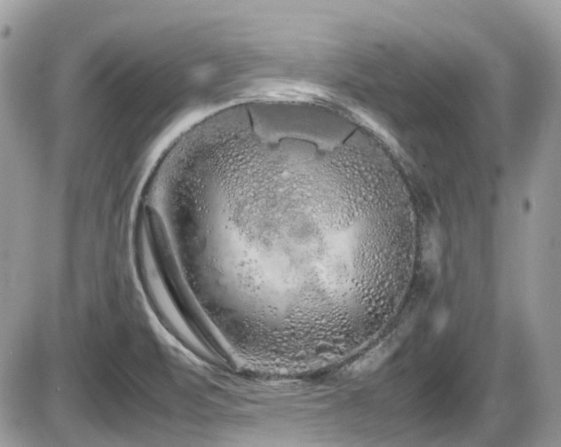 X0000086091471200703231418