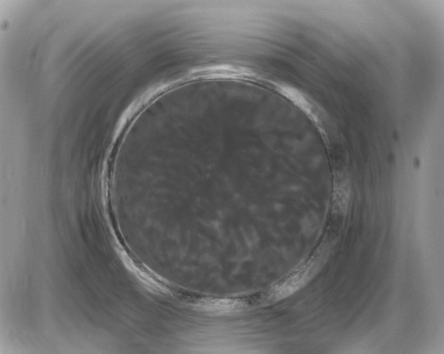 X0000086091474200703231417