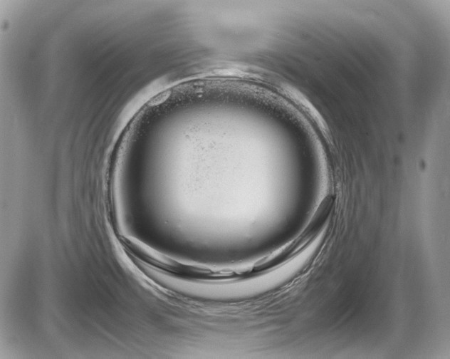 X0000086091483200703231417